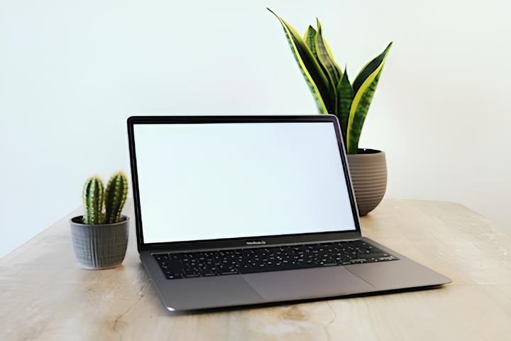 black laptop with green plants on table