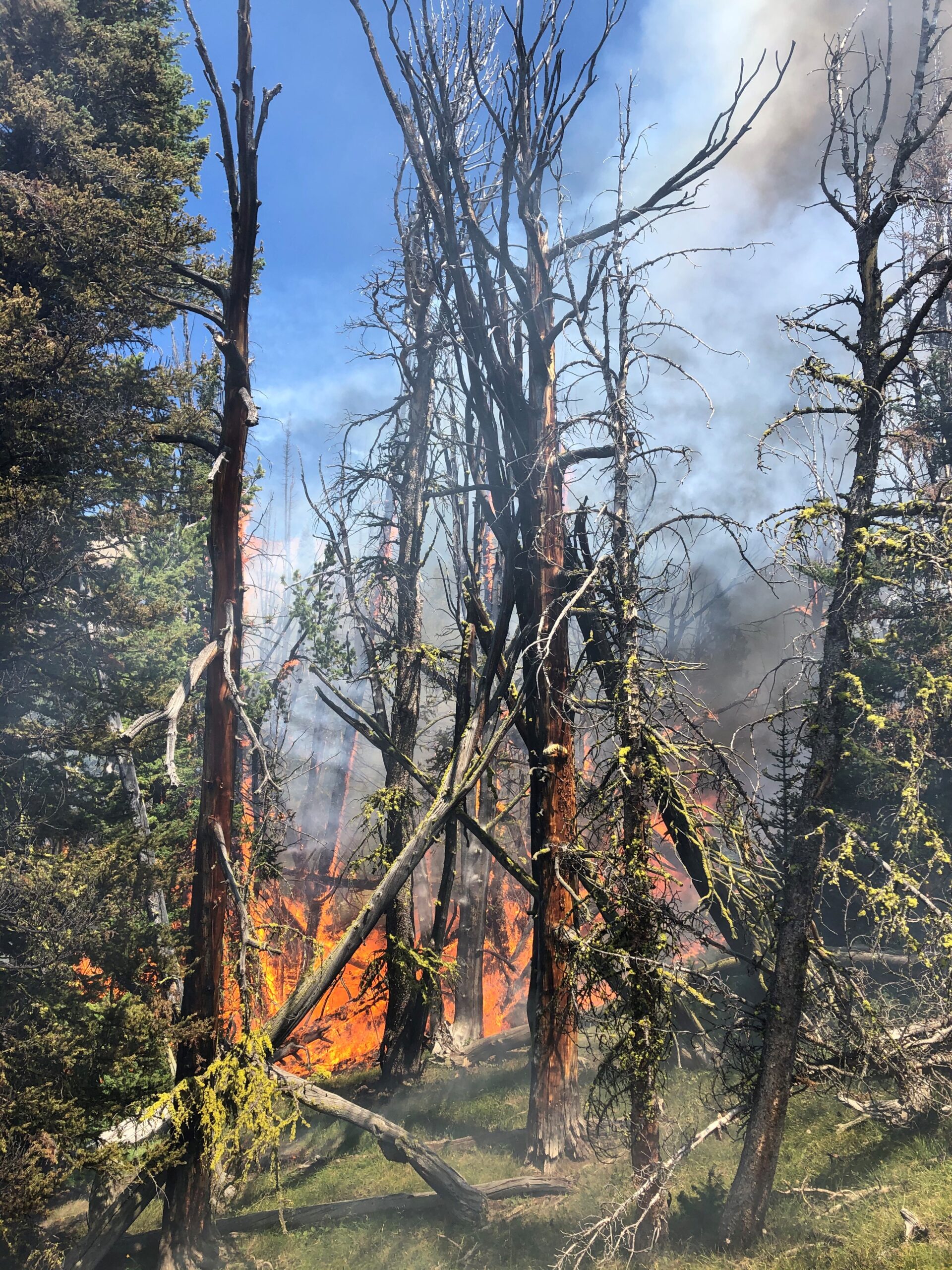 August 2, 2020, Baldy Mountain FireNational Forest Service Press